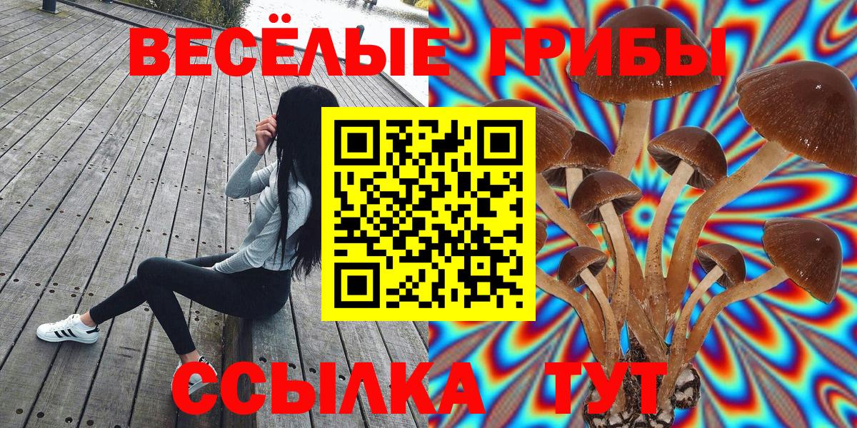 Псилоцибиновые грибы ЛСД Ахтубинск
